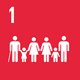 Icon SDG 1