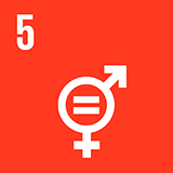 Icon SDG 5