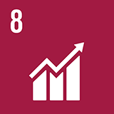 Icon SDG 8