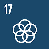 Icon SDG 17
